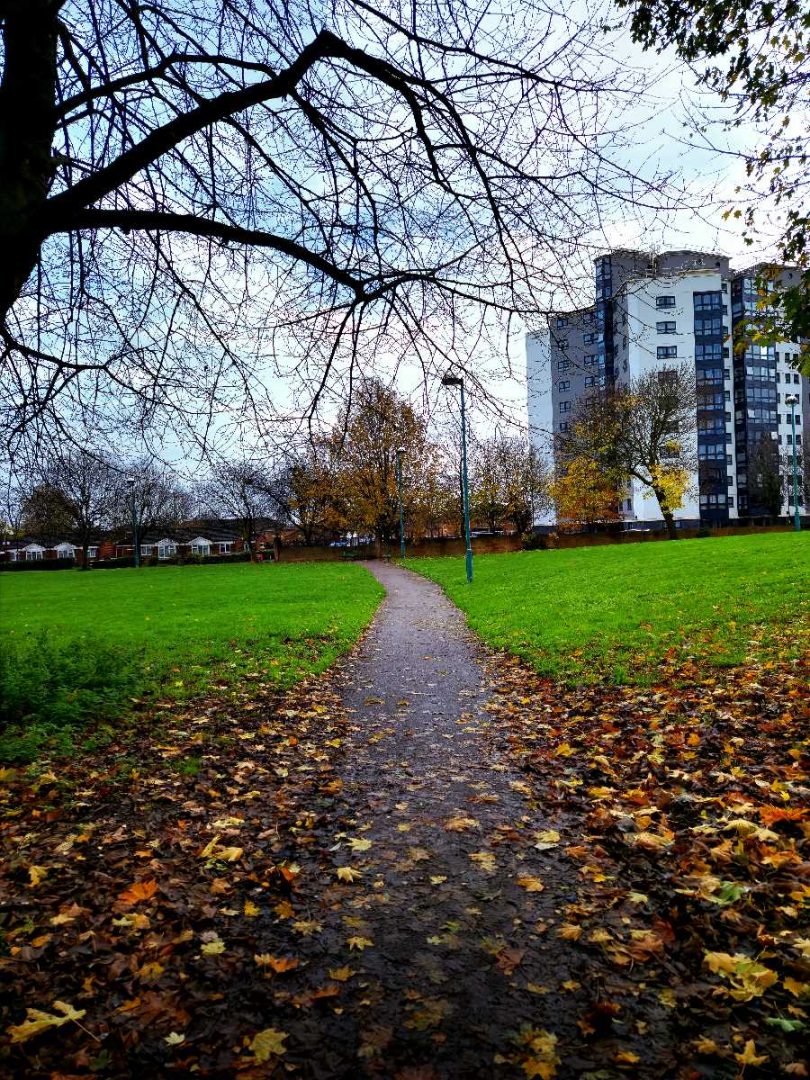 duddeston manor rd park  24-11-2022  (1)